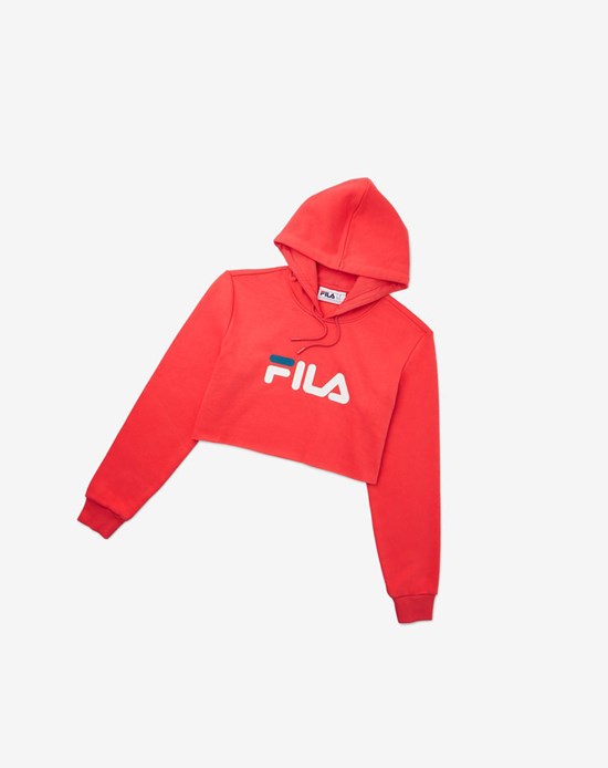 Fila Lalage Cropped Hoodie Białe Niebieskie | CLYWS-8601