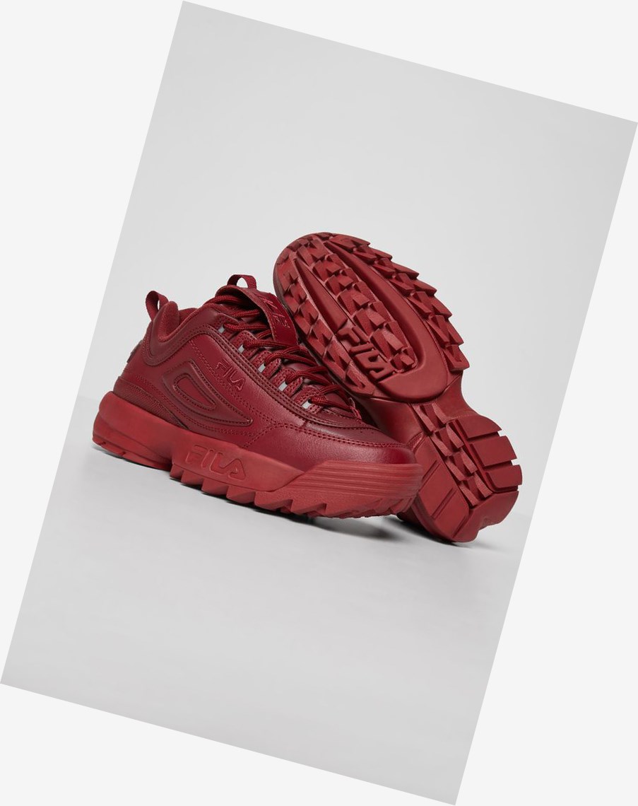 Fila Disruptor 2 Autumn Sneakers Bred/Bred/Bred | GDOTP-6548