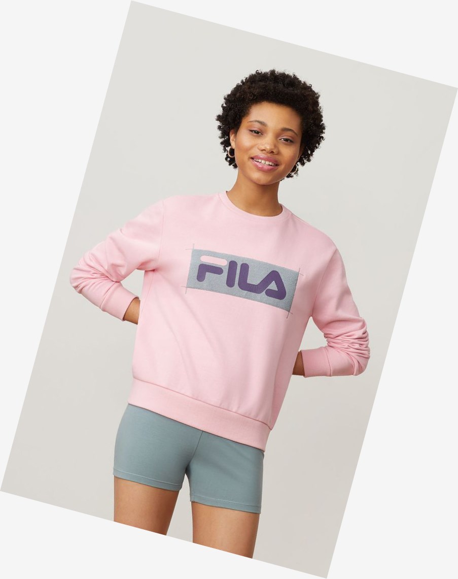 Fila Evelyn Sweatshirt Cpnk/Lead/Ggrp | RQAEZ-8675