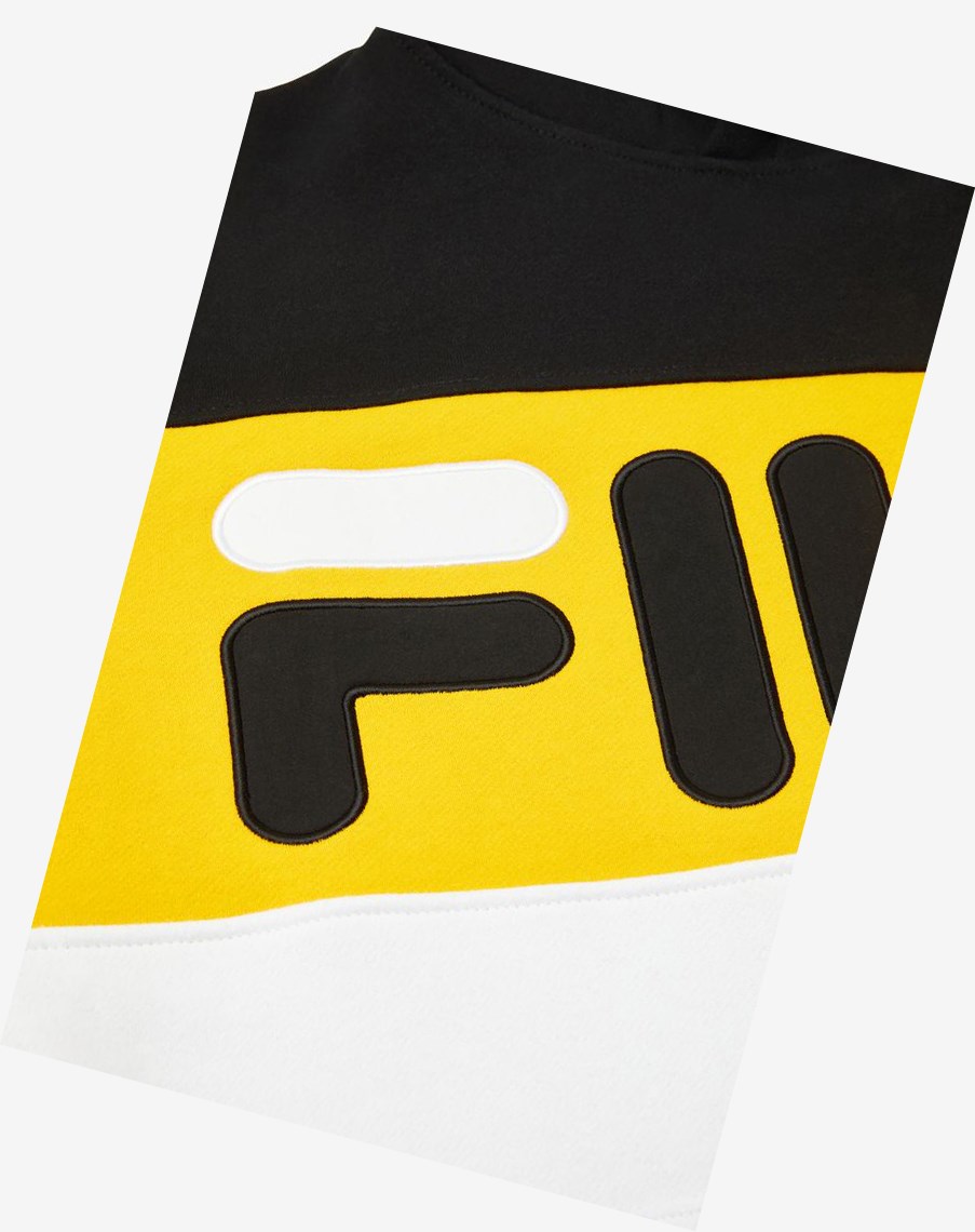 Fila Flamino Hoodie Blk/Gfus/Wht | WTVDP-8514