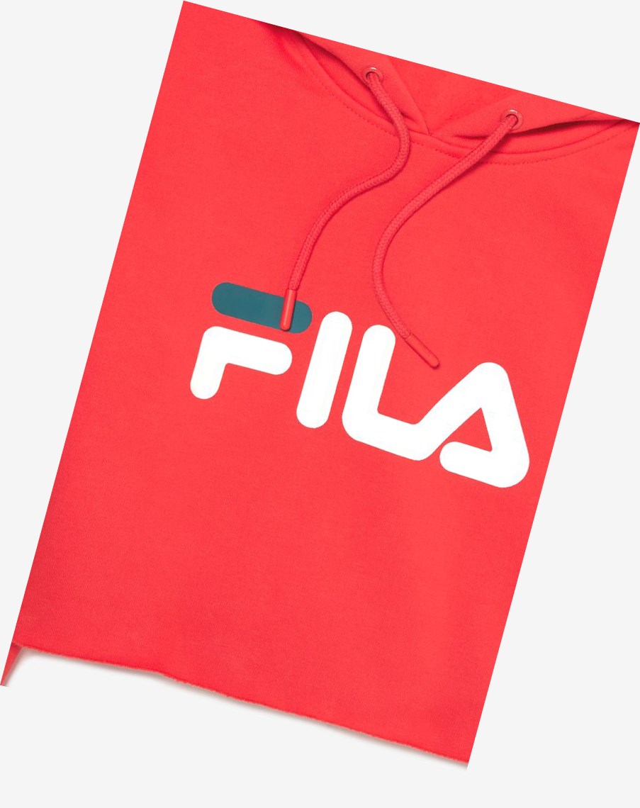 Fila Lalage Cropped Hoodie Białe Niebieskie | TUXLE-3614