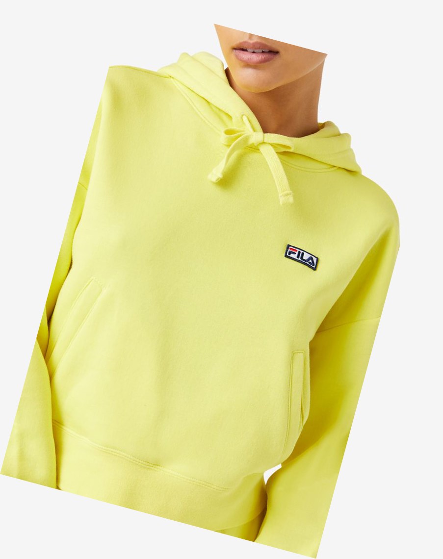 Fila Marina Hoodie 706 Goldfinch | DQBMK-7289