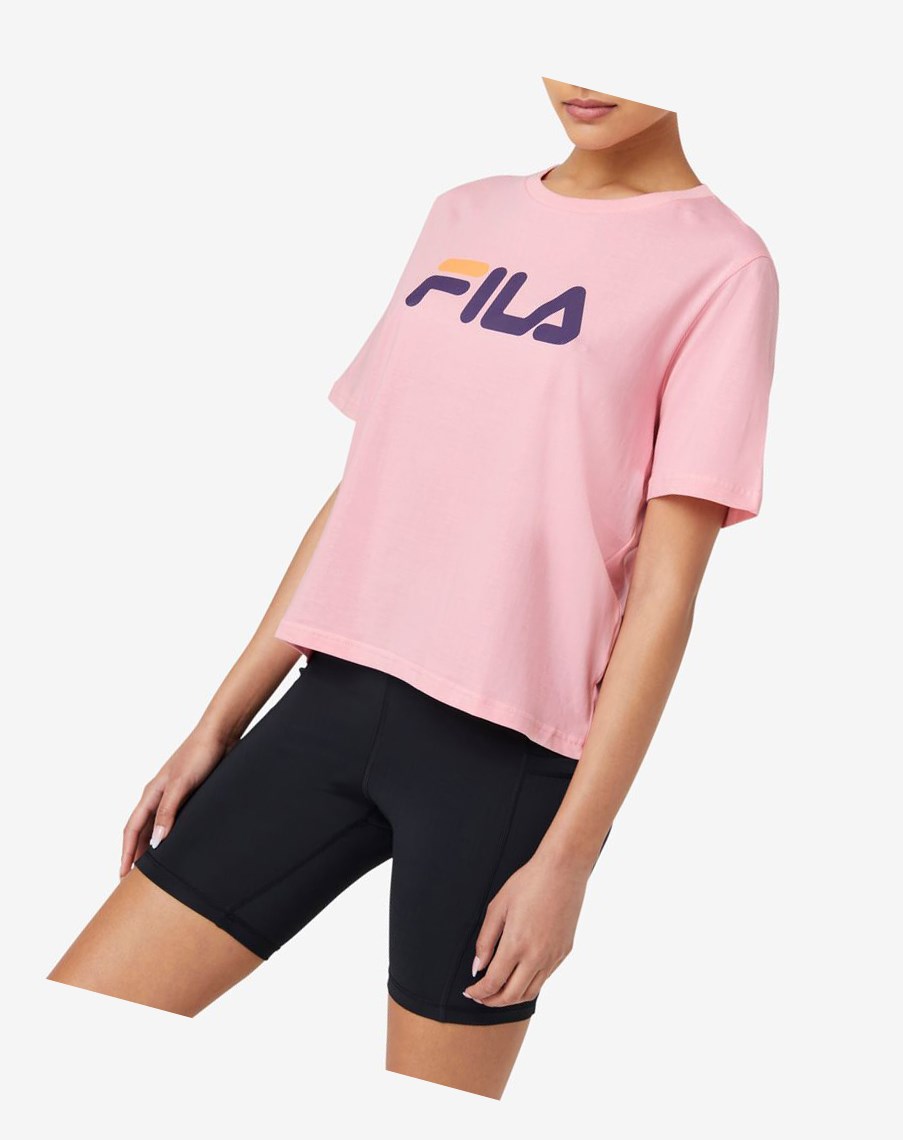 Fila Miss Eagle Tee Różowe Pomarańczowe | ARSXE-7981