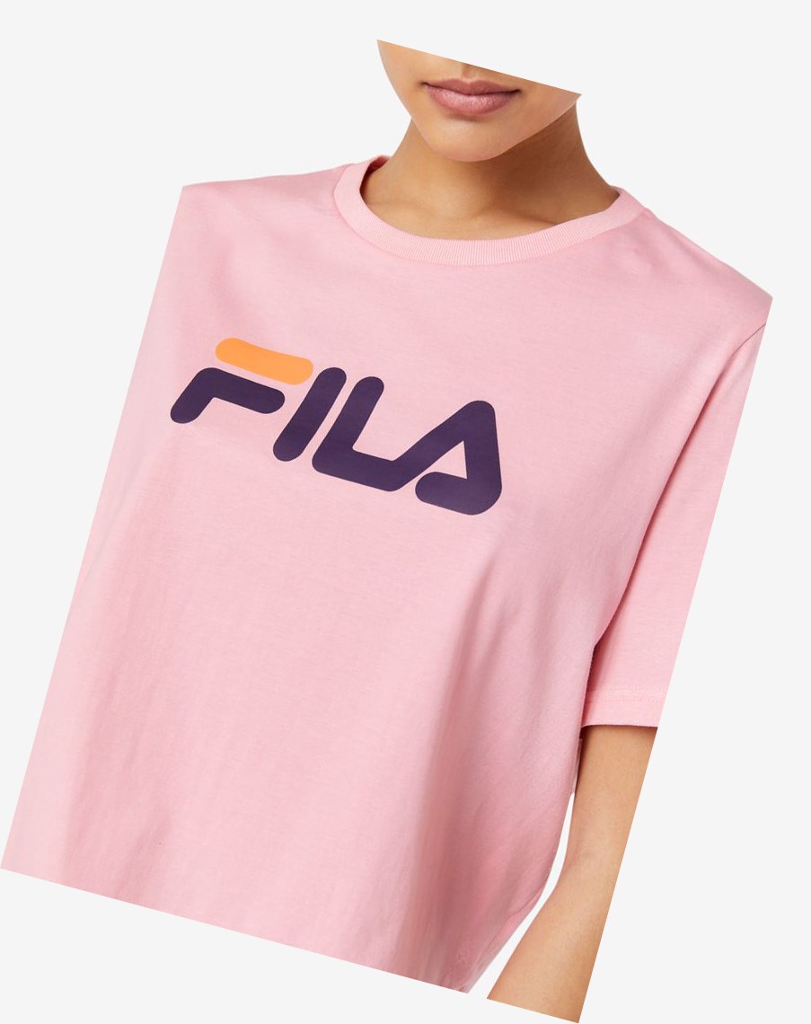 Fila Miss Eagle Tee Różowe Pomarańczowe | ARSXE-7981