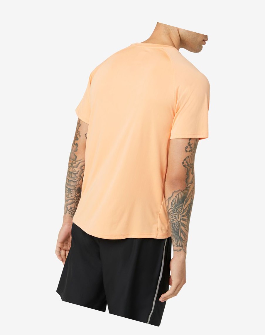 Fila Pickleball Krótkie Sleeve Crew 818 Cantaloupe | OACUE-5407