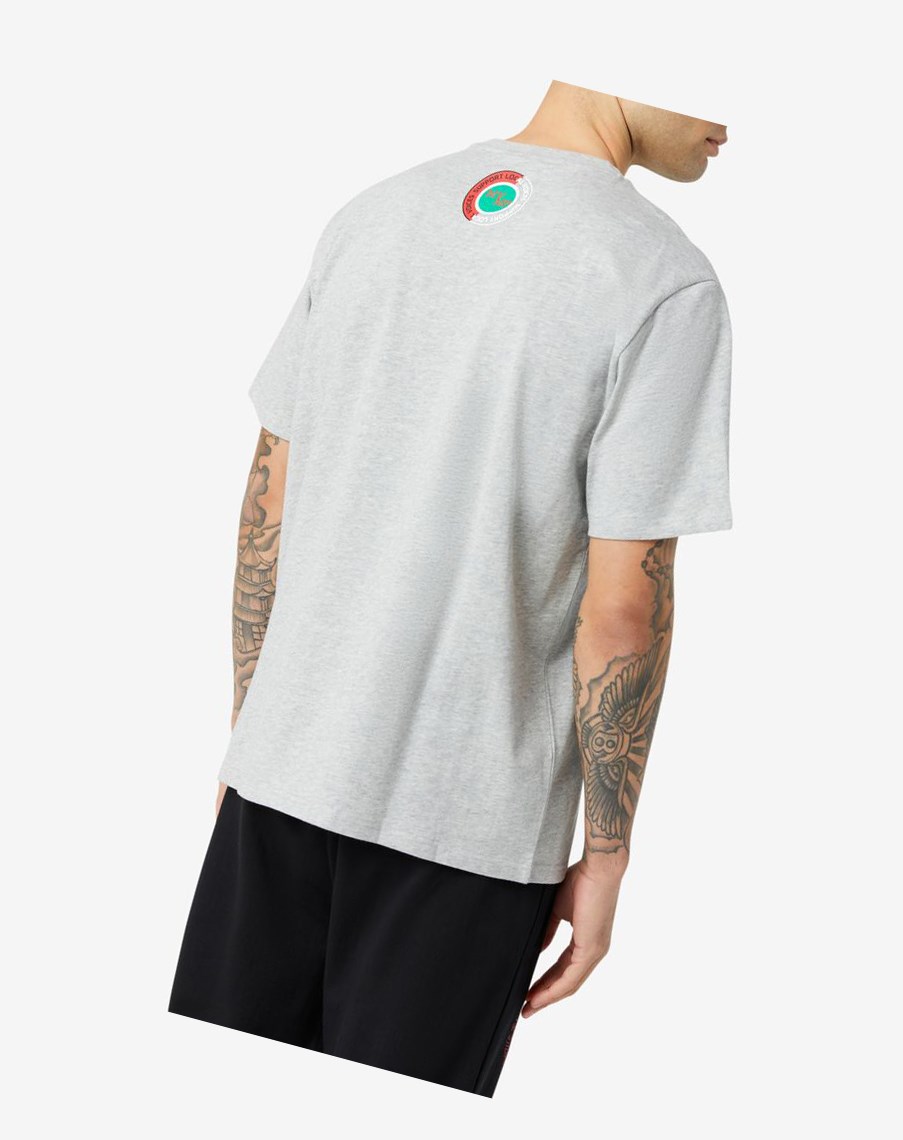 Fila Ryland Tee Szare | GPFHV-5412