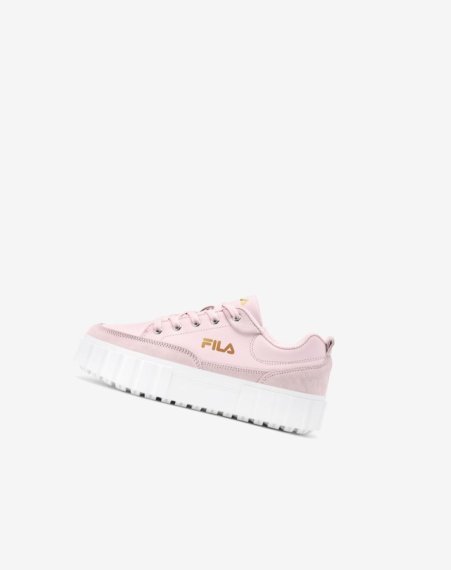 Fila Sandblast Low Sneakers Różowe Białe Złote | TBOEP-8637