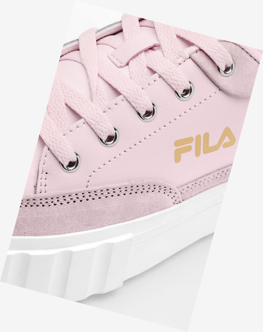 Fila Sandblast Low Sneakers Różowe Białe Złote | TBOEP-8637