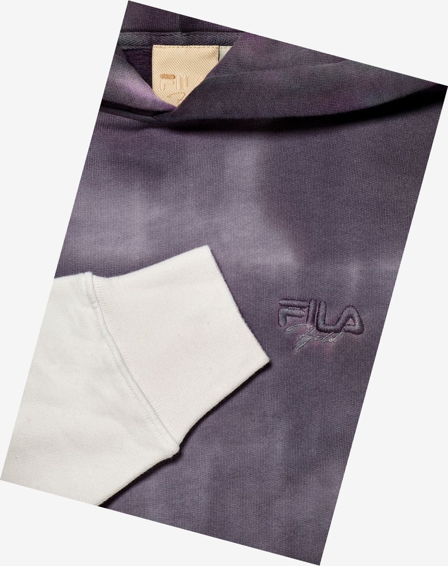 Fila Sigurd Gradient Hoodie Rabbit/Marshm | AUHPS-7063