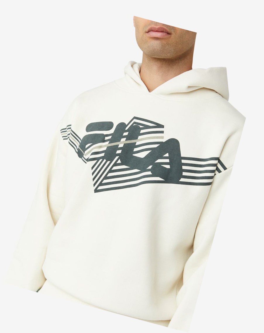 Fila Waldo Hoodie 294 Turtledove / Urban Chic / Vetiver | VDBCP-9724